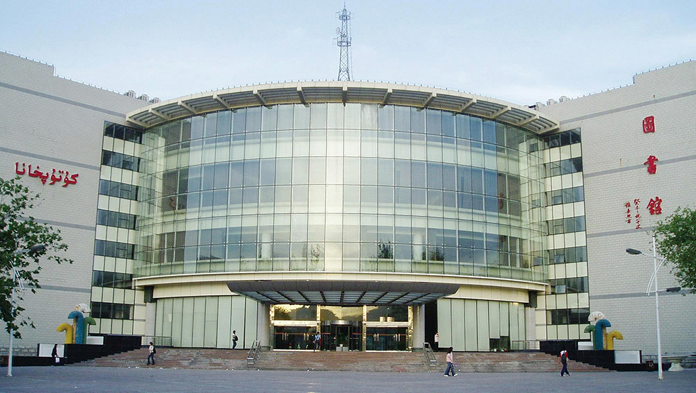 新疆大學(xué)